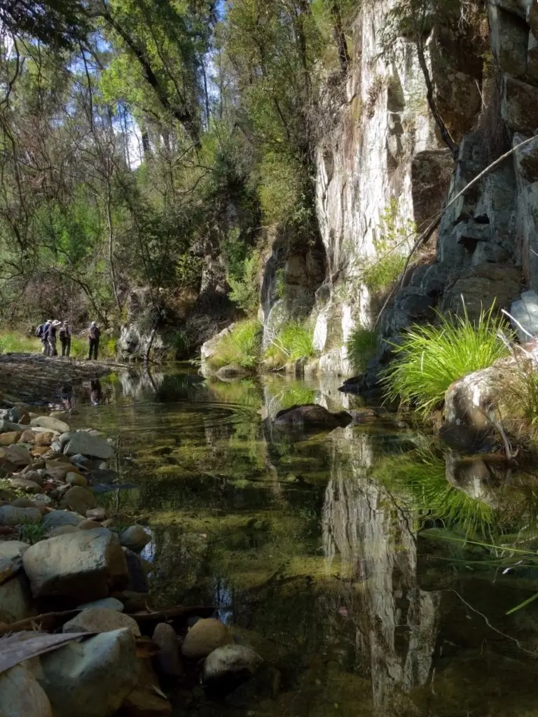 reflections on creek Bodalla SF Dalmeny