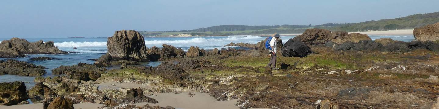 a man is wandering around a rock platform at low tide