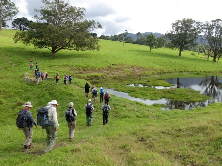 walkers following a path across a green field at Tilba